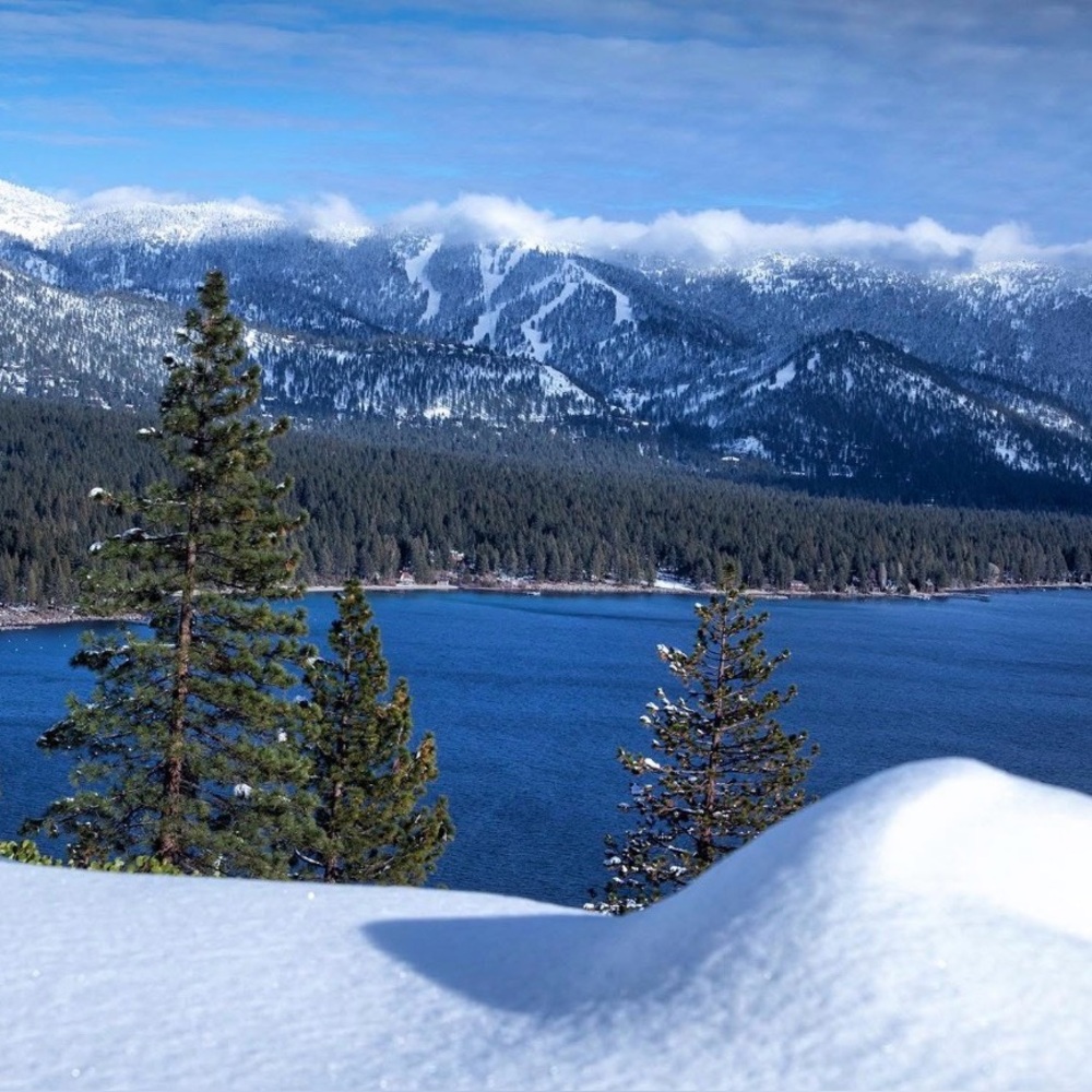 Meet your Posher, Coco